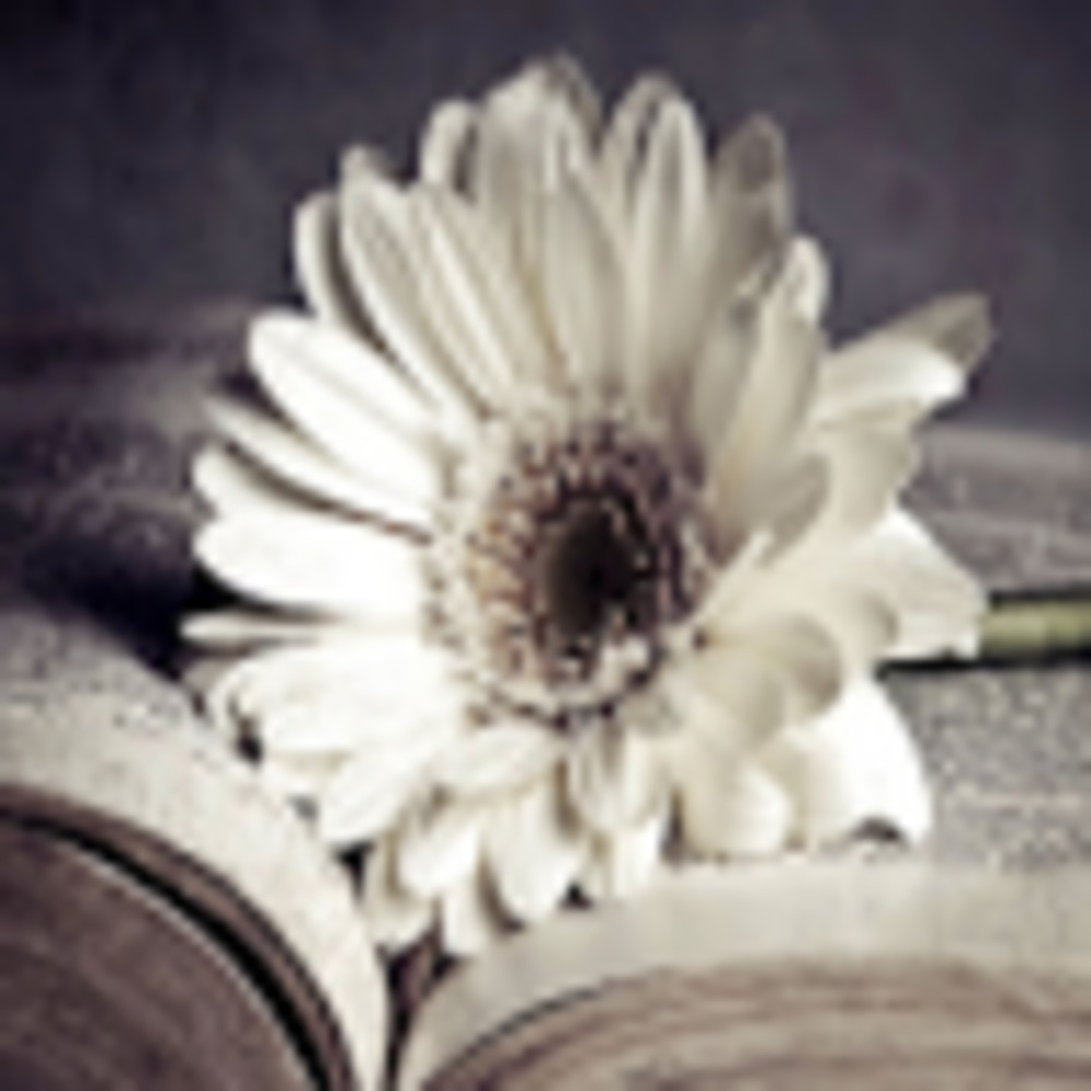 Meet your Posher, Dominique